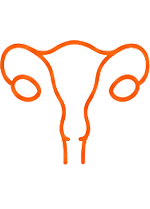 Ginecologia