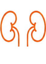 Urologia